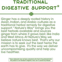 vien uong gung ho tro tieu hoa natures way ginger root 1100mg 240 capsules kc