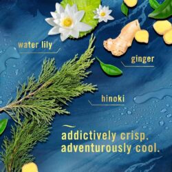 xit phong khu mui febreze air ocean 250g 240326 kg