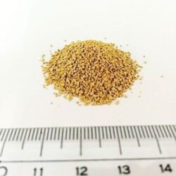 bo phoi kobayashi dang bot 16 goi kc