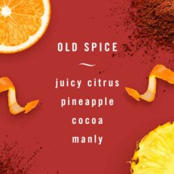 Nước hoa xe hơi Febreze Auto Old Spice Swagger Set 2 cái x2.2ml 7 nuoc hoa xe hoi febreze car auto old spice swagger set 2 cai x2 2ml ke