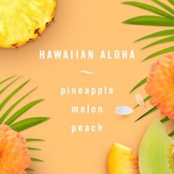 nuoc hoa xe hoi febreze car hawaiian aloha set 2 cai x2ml ka