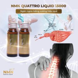 Bổ sung NMN dạng nước NMN Quattro Liquid 15000 30ml x10 chai 17 bo sung nmn dang nuoc nmn quattro liquid 15000 30ml x10 chai kd