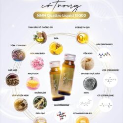 Bổ sung NMN dạng nước NMN Quattro Liquid 15000 30ml x10 chai 18 bo sung nmn dang nuoc nmn quattro liquid 15000 30ml x10 chai ke