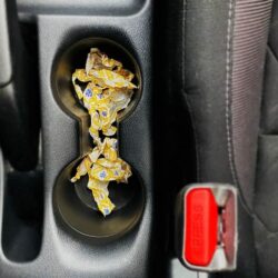 Kẹo Halls thông cổ, mát họng Halls Relief Cherry 30 viên 13 keo halls thong co mat hong halls relief cherry 30 vien 25923 kg