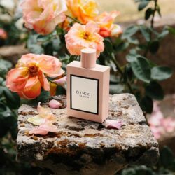 Nước hoa nữ GUCCI Bloom EDP Set 2 10 nuoc hoa nu gucci bloom edp set 2 ka