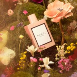 Nước hoa nữ GUCCI Bloom EDP Set 2 16 nuoc hoa nu gucci bloom edp set 2 ke