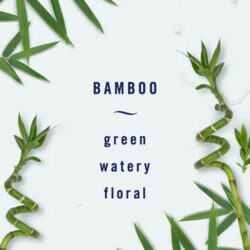 Nước hoa xe hơi Febreze Light Car Set 5 cái x2ml (Sea Spray, Lavender, Bamboo) 14 nuoc hoa xe hoi febreze light car set 5 cai x2ml sea spray lavender bamboo kbamboo