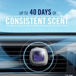 Nước hoa xe hơi Febreze Light Car Set 5 cái x2ml (Sea Spray, Lavender, Bamboo) 13 nuoc hoa xe hoi febreze light car set 5 cai x2ml sea spray lavender bamboo klavender