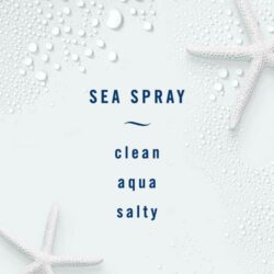 Nước hoa xe hơi Febreze Light Car Set 5 cái x2ml (Sea Spray, Lavender, Bamboo) 11 nuoc hoa xe hoi febreze light car set 5 cai x2ml sea spray lavender bamboo kseaspray