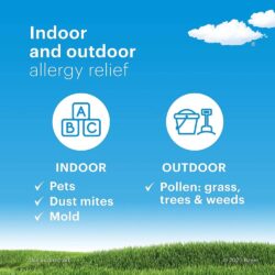 Viên nhai chống dị ứng cho bé Claritin Chewables 5 mg Non-Drowsy 24 Hour 30 viên (Grape) 9 vien nhai chong di ung cho be claritin chewables 5 mg non drowsy 24 hour 60 vien grape kc