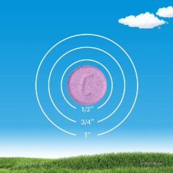 Viên nhai chống dị ứng cho bé Claritin Chewables 5 mg Non-Drowsy 24 Hour 30 viên (Grape) 11 vien nhai chong di ung cho be claritin chewables 5 mg non drowsy 24 hour 60 vien grape kf