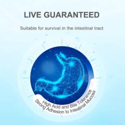 Viên uống 32 tỷ lợi khuẩn Life Space Probiotic 32 Billion CFU 60 Capsules 14 vien uong 32 ty loi khuan life space probiotic 32 billion cfu 60 capsules ka