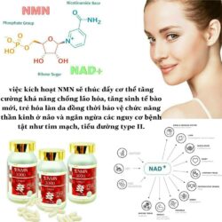 Viên uống bổ sung NMN UniLab NMN 3000 +BRich 60 Capsules 12 vien uong bo sung nmn unilab nmn 3000 brich 60 capsules kd