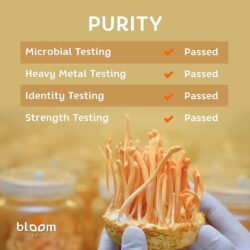 vien uong chiet xuat dong trung ha thao bloom health cordyceps mushroom extract 250 capsules kf