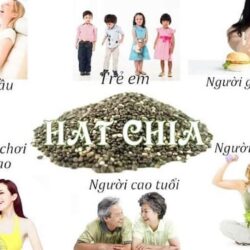 Hạt chia Úc Healthy Food & Nuts Organic Chia Seeds 1kg 13 hat chia uc healthy food nuts organic chia seeds 1kg ka