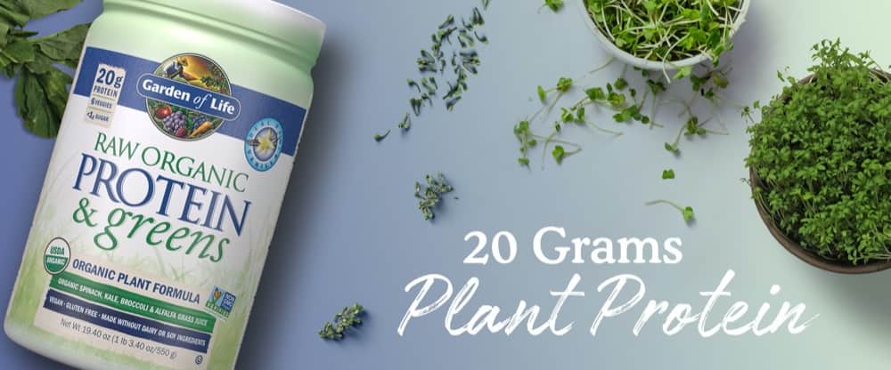 Bột Protein thực vật hữu cơ Garden Of Life Raw Organic Protein & Greens Vanilla 550g 14 bot protein thuc vat huu co garden of life raw organic protein greens vanilla 550g kg