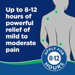 Miếng dán Salonpas size lớn Hisamitsu Salonpas Large 10cmx14cm 9 miếng 11 mieng dan salonpas size lon hisamitsu salonpas large 10cmx14cm 9 mieng kb