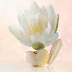 Nước hoa nữ Bvlgari Omnia Crystalline Eau De Toilette 65ml 14 nuoc hoa nu bvlgari omnia crystalline eau de toilette 65ml kc