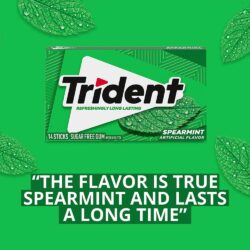 Sing gum Mỹ không đường Trident Spearmint 14 Sticks x15 Packs 9 sing gum my khong duong trident spearmint 14 sticks x15 packs ka