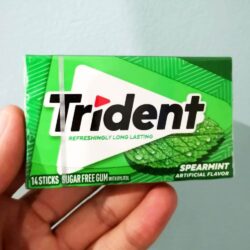 Sing gum Mỹ không đường Trident Spearmint 14 Sticks x15 Packs 11 sing gum my khong duong trident spearmint 14 sticks x15 packs ke
