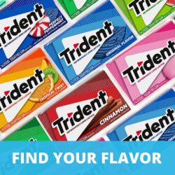 Sing gum Mỹ không đường Trident Spearmint, Mint Bliss, Original 14 Sticks x20 Packs 17 sing gum my khong duong trident spearmint mint bliss original 14 sticks x20 packs ka