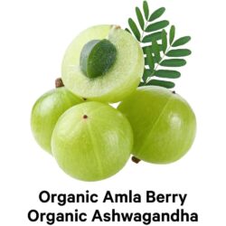 Viên uống bổ sung Collagen CodeAge Hydrolyzed Multi Collagen 90 Capsules 13 vien uong bo sung collagen codeage hydrolyzed multi collagen 90 capsules kb