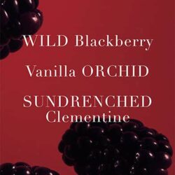 Set 3 món Victoria’s Secret Very Sexy (Candle 56g, EDP 50ml, Lotion 100ml) 10 set 3 mon victorias secret very sexy candle 56g edp 50ml lotion 100ml kf