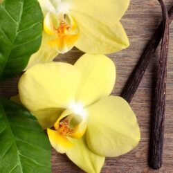 sua tam cottage delicieuse vanille 750ml kb