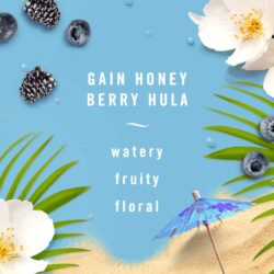 Nước hoa xe hơi Febreze Car Honey Berry Hula Set 2 cái x2ml 3 nuoc hoa xe hoi febreze car honey berry hula set 2 cai x2ml kb