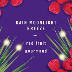 nuoc hoa xe hoi febreze car moonlight breeze set 2 cai x2ml kb