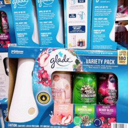 Set máy xịt thơm phòng tự động Glade chạy pin + 3 chai tinh dầu (Champagne Cheers, Pine Wonderland, Velvety Berry Bliss) 5 set may xit thom phong tu dong glade chay pin 3 chai tinh dau champagne cheers pine wonderland velvety berry bliss kb