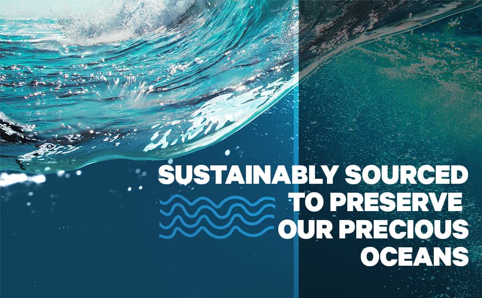 Bột uống bổ sung Collagen CodeAge Wild-Caught Marine Collagen Peptides 450g 12 bot uong bo sung collagen codeage wild caught marine collagen peptides 450g kg