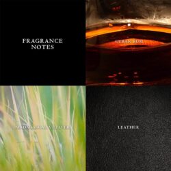 nuoc hoa nam john varvatos nick jonas jv x nj red eau de toilette 125ml ke