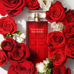 Nước hoa nữ Elizabeth Arden Red Door Eau De Toilette 100ml 18 nuoc hoa nu elizabeth arden red door eau de toilette 100ml kb