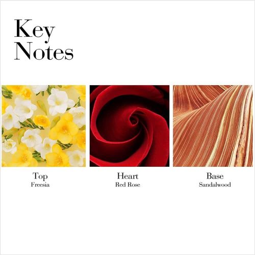 Nước hoa nữ Elizabeth Arden Red Door Eau De Toilette 100ml 21 nuoc hoa nu elizabeth arden red door eau de toilette 100ml kc