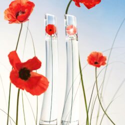 Nước hoa nữ Flower By Kenzo Eau De Parfum 100ml 8 nuoc hoa nu flower by kenzo eau de parfum 100ml ka