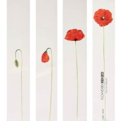Nước hoa nữ Flower By Kenzo Eau De Parfum 100ml 7 nuoc hoa nu flower by kenzo eau de parfum 100ml kc
