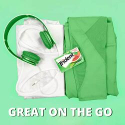 Sing gum Mỹ không đường Trident Watermelon Twist 14 Sticks x1 Pack (1 vỉ Vị dưa hấu) 8 sing gum my khong duong trident watermelon twist 14 sticks x1 packs 1 vi vi dua hau kc