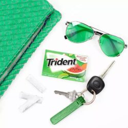 Sing gum Mỹ không đường Trident Watermelon Twist 14 Sticks x1 Pack (1 vỉ Vị dưa hấu) 9 sing gum my khong duong trident watermelon twist 14 sticks x1 packs 1 vi vi dua hau kd