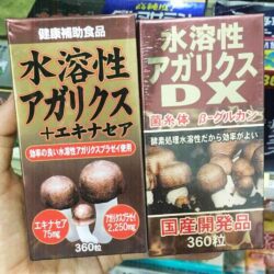 nam thai duong miyamakanpou agaricus nhat ban 360 vien ka