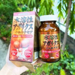 nam thai duong miyamakanpou agaricus nhat ban 360 vien kc