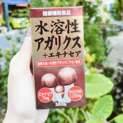 nam thai duong miyamakanpou agaricus nhat ban 360 vien kd