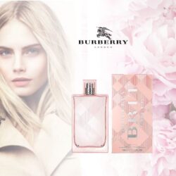 nuoc hoa nu burberry brit sheer eau de toilette 100ml kb
