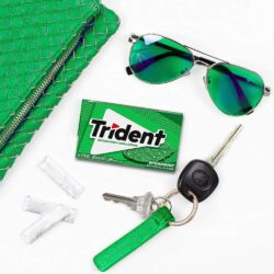 Sing gum Mỹ không đường Trident Spearmint 14 Sticks x1 Packs 8 sing gum my khong duong trident spearmint 14 sticks x1 packs kb