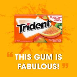 Sing gum Mỹ không đường Trident Tropical Twist 14 Sticks x1 Packs (Vị cam) 9 sing gum my khong duong trident tropical twist 14 sticks x1 packs vi cam kb