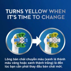 Đầu thay bàn chải điện Oral-B Floss Action Replacement Brush Heads 5 cái 13 dau thay ban chai dien oral b floss action replacement brush heads 5 cai kf