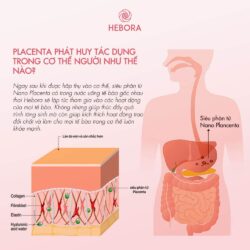 Nước uống nhau thai Hebora Placenta Beauty Drink 500ml 16 nuoc uong nhau thai hebora placenta beauty drink 500ml kd