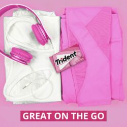 Sing gum Mỹ không đường Trident BubbleGum 14 Sticks x1 Packs (1 vỉ) 10 sing gum my khong duong trident bubblegum 14 sticks x1 packs 1 vi kd