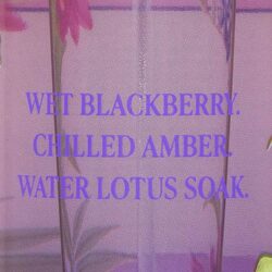 xit thom victorias secret blackberry bite fragrance mist 250ml kc