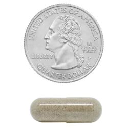 Viên uống bổ sung chất xơ Member’s Mark Fiber Capsules 400 viên 11 vien uong bo sung chat xo members mark fiber capsules 400 vien kc